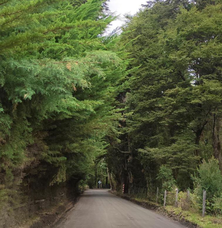 Cabana Ensenada, Puerto Varas - 1 Ambiente 外观 照片