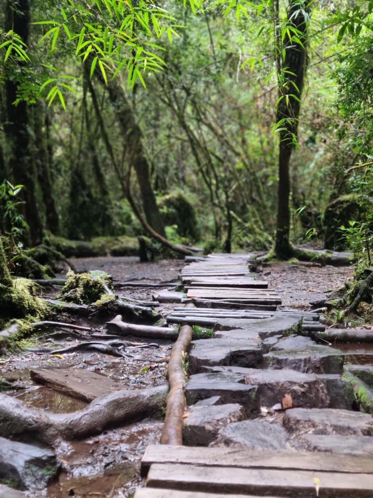 Cabana Ensenada, Puerto Varas - 1 Ambiente 外观 照片